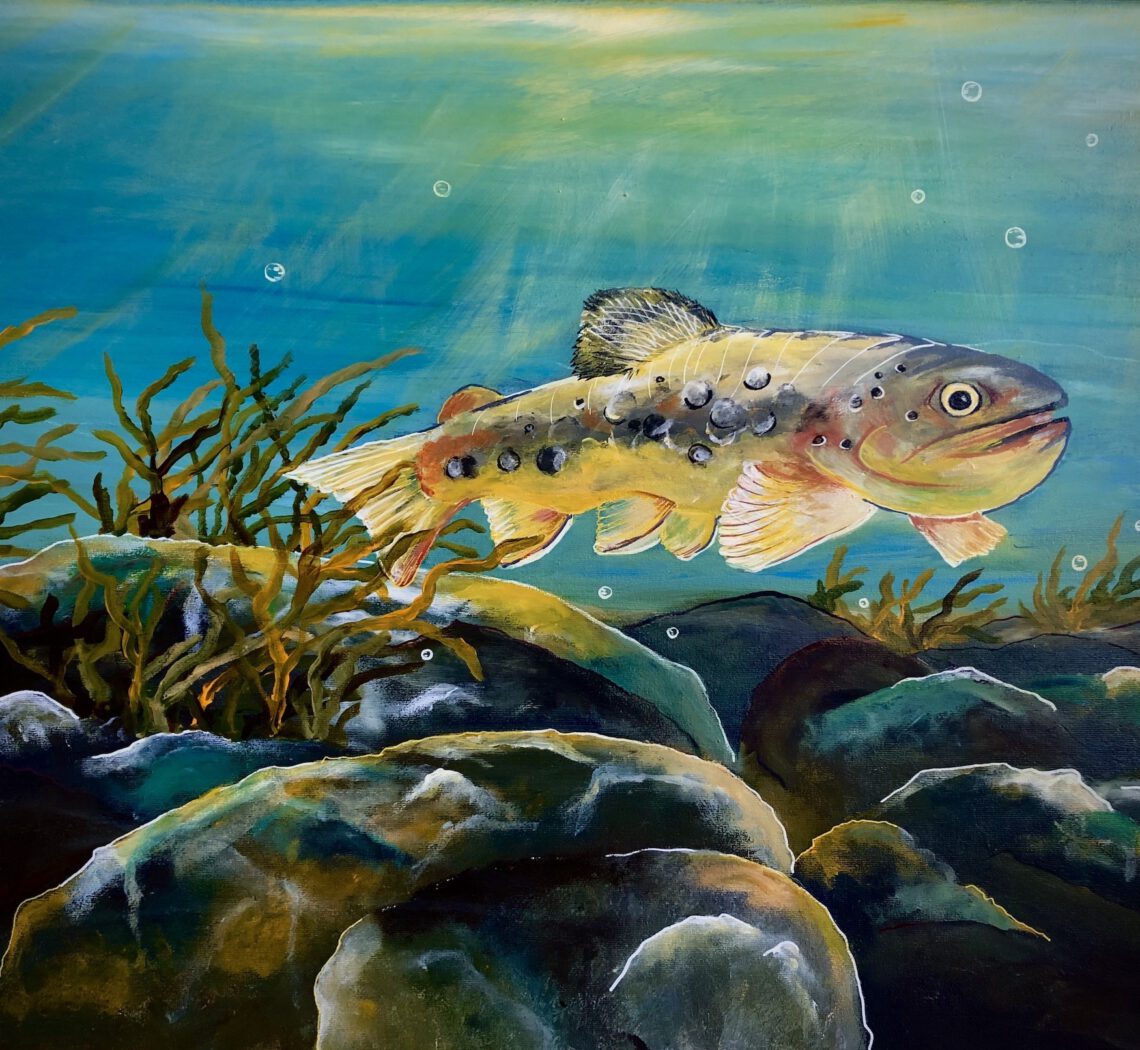 Forelle Regine Lange