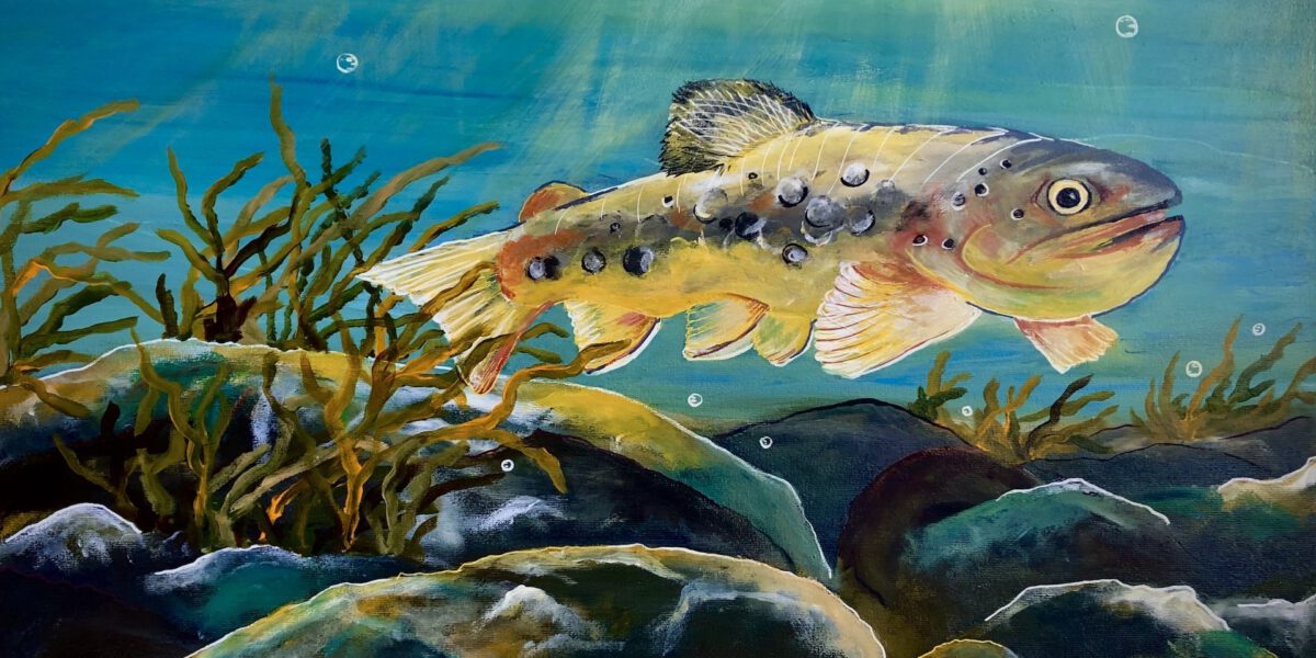 Forelle Regine Lange