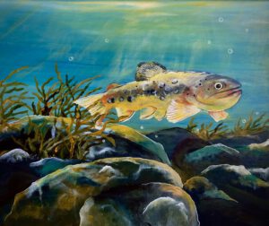 Forelle Regine Lange