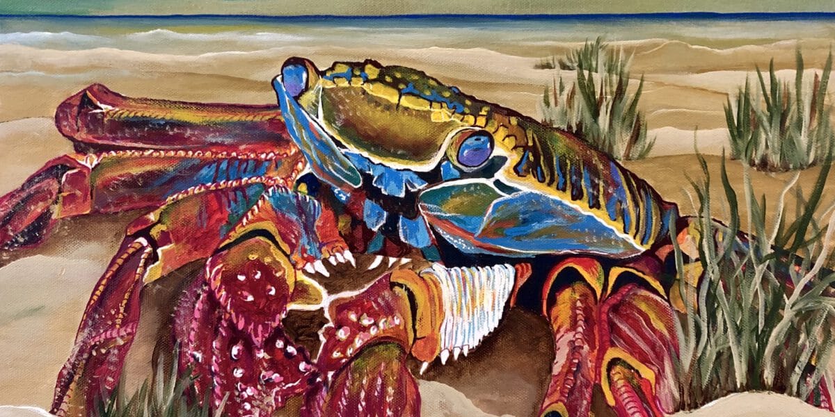 Warmes Plaetzchen Regine Lange