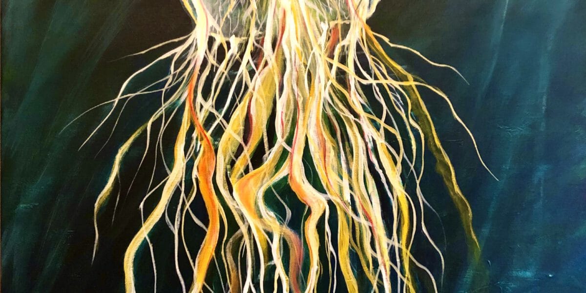 Gefaehrlich schoen Regine Lange