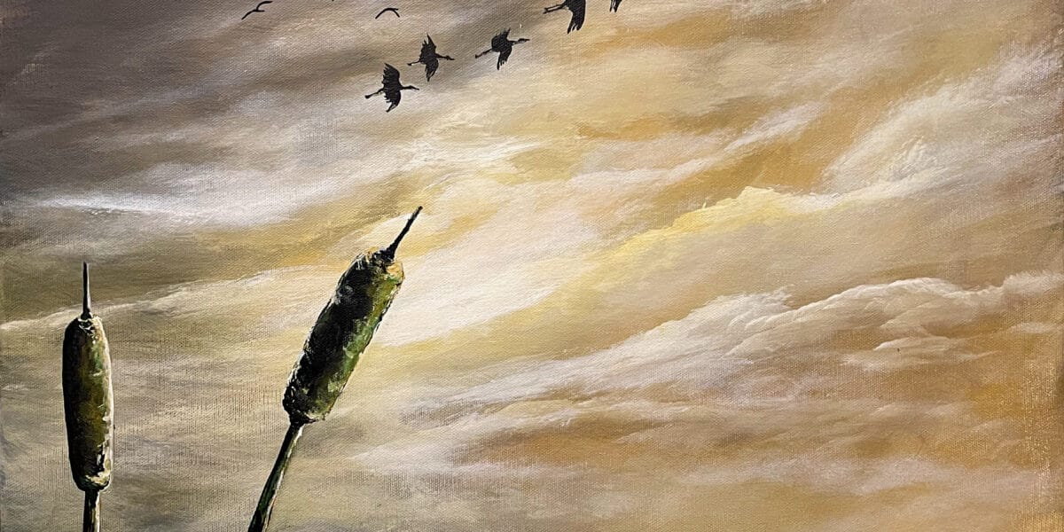 Schilf in der Abendsonne Regine Lange